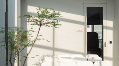 20260323051659_20260322090240_74_00186